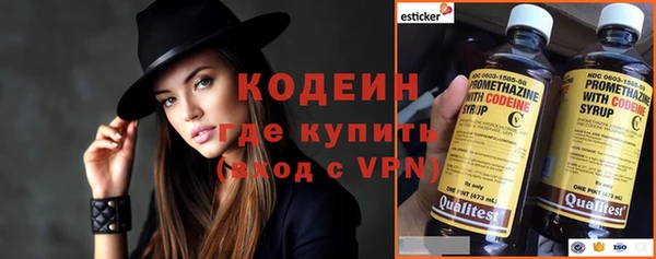 индика Ессентукская