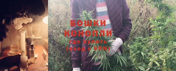 соль ск Инта