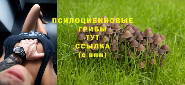 эйфоретик Нестеровская