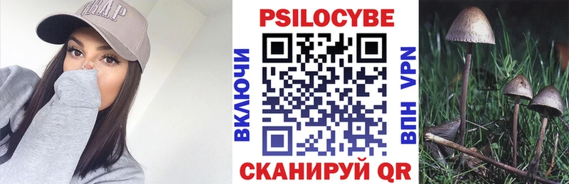 Галлюциногенные грибы Psilocybine cubensis  Струнино 